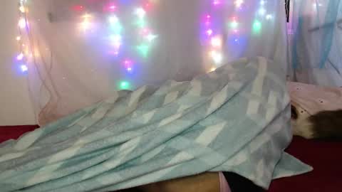 zuley online show from 03/04/26, 02:17