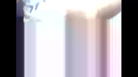 suleyman38 online show from 02/17/25, 12:16