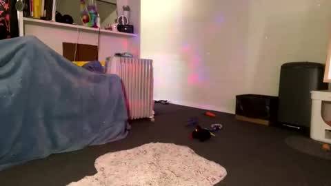 Summer online show from 01/27/25, 03:26