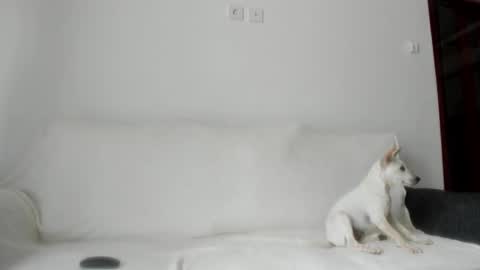 Angel PVT show open online show from 10/21/25, 02:34