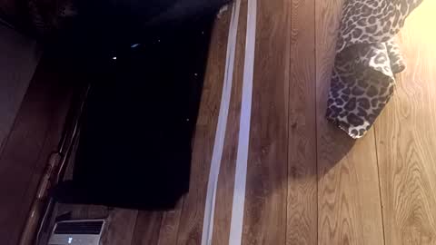 Summer Divine online show from 02/22/25, 08:53