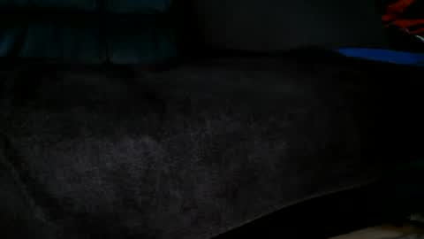 Snapshot of sundicksun chatting on 06/30/26, 02:29 s online show from 06/30/26, 02:29