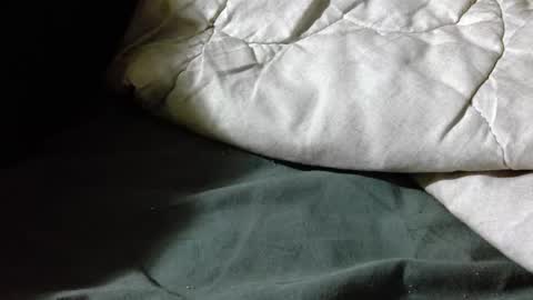 Shy guy online show from 04/19/26, 07:16