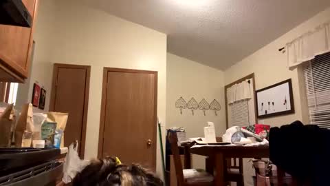 sunnbabe92485 online show from 09/11/25, 02:44