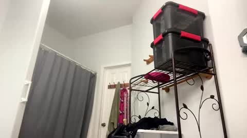 Sunny Clementine online show from 11/04/25, 10:09