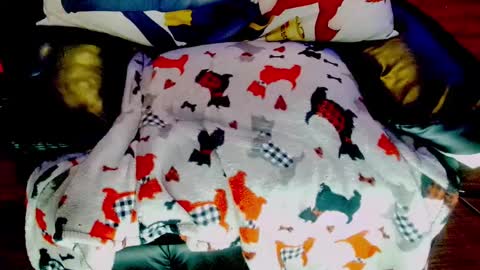 Sunny Marcie online show from 02/03/25, 05:03