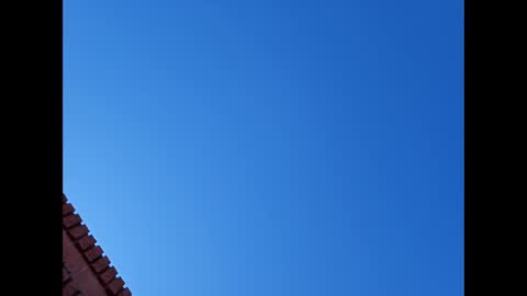 Suntroll online show from 01/06/25, 07:13