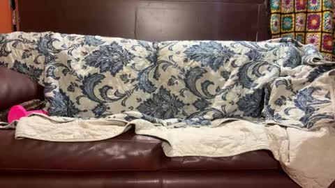 Stony online show from 01/14/25, 07:48