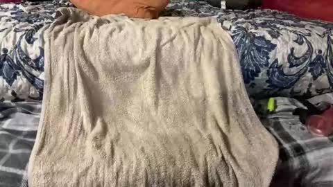 Stony online show from 03/03/25, 09:48