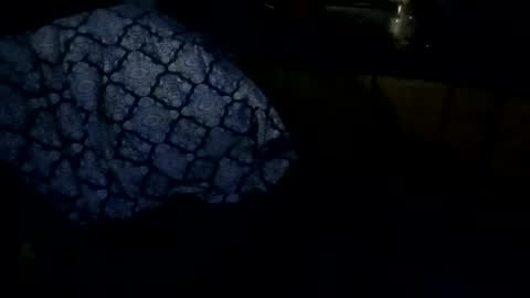 sloth online show from 02/27/26, 09:31