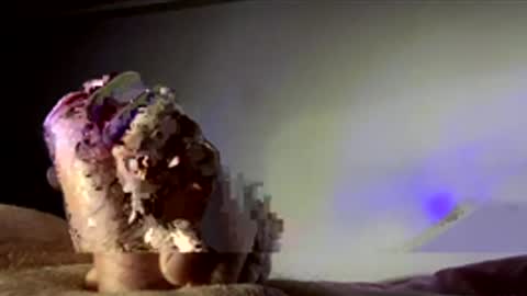 surgenz73 online show from 01/16/26, 02:37