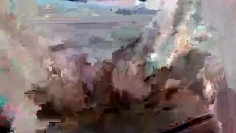 suttond4858 online show from 09/12/25, 07:03