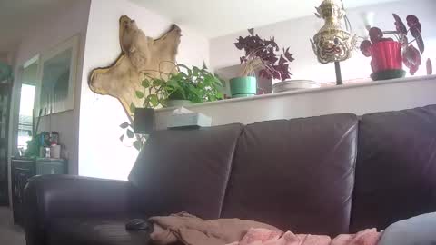 Otto online show from 10/07/25, 09:56