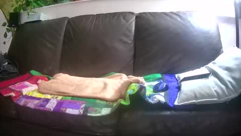 Otto online show from 10/26/25, 04:29