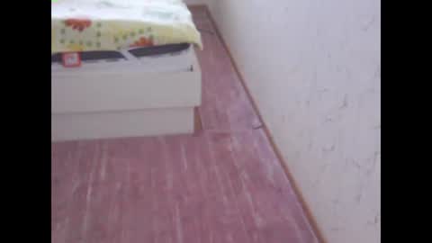 sv27 online show from 02/13/25, 11:17