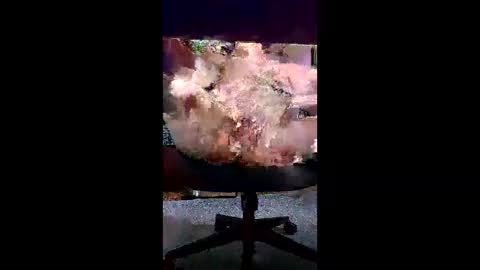svald0 online show from 06/05/26, 12:44