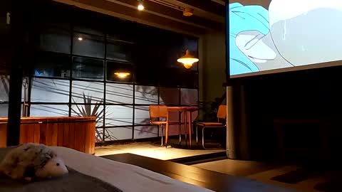 svenseries online show from 02/19/25, 04:44