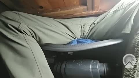 swamp486822 online show from 02/05/25, 06:13