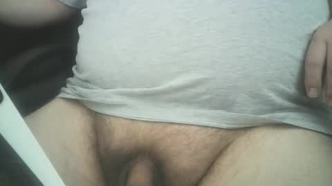 Snapshot of swedishdude22 chatting on 04/24/26, 03:47 swedishdude22 online show from 04/24/26, 03:47