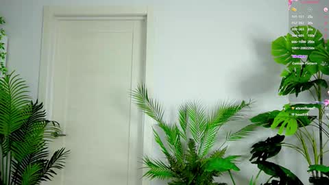 Alice online show from 10/03/25, 03:31