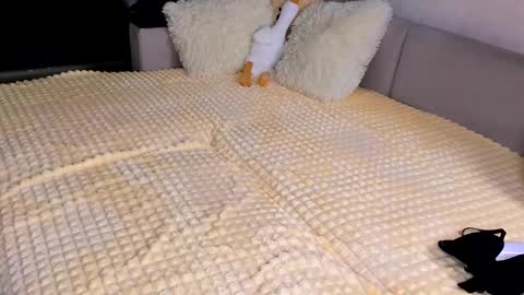 Alice online show from 11/15/25, 03:52