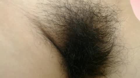 Barbara online show from 03/31/26, 12:56