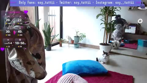 Tutti  online show from 01/12/26, 04:12