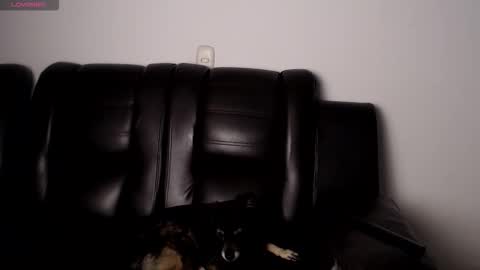 Hannah online show from 11/18/25, 09:03