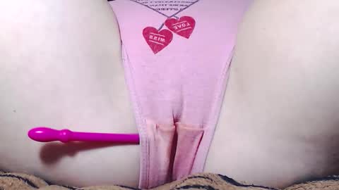 Kitten online show from 11/21/25, 07:18