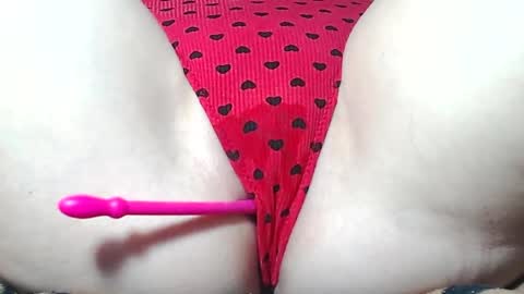 Kitten online show from 04/02/26, 08:56