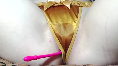 Kitten online show from 05/16/26, 07:27