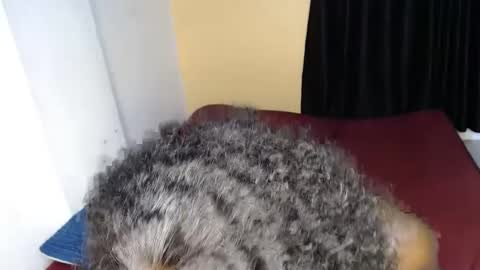 ellanah Tracie online show from 09/30/25, 12:04