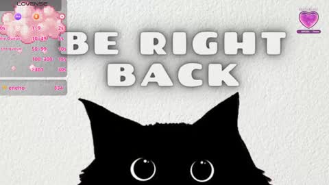 Snapshot of sweet_susy999 chatting on 02/13/25, 11:15 susy 222 online show from 02/13/25, 11:15