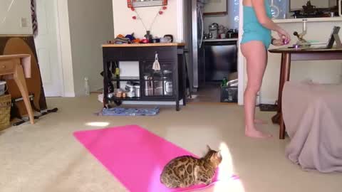 Heidi Brenner - Please check bio for schedule  FAQ online show from 10/07/25, 01:19