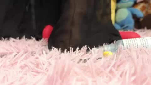  Sweet  online show from 05/06/26, 10:48