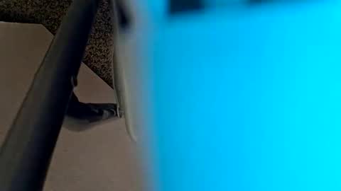 Snapshot of sweetboy842 chatting on 01/28/25, 02:32 sweetboy842 online show from 01/28/25, 02:32