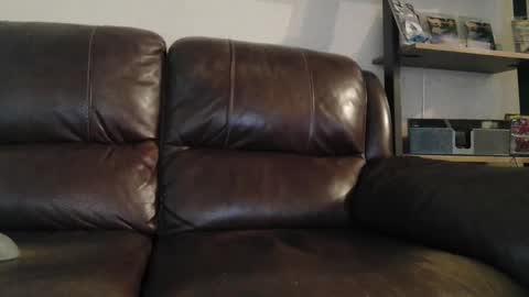 sweetcocksean online show from 03/10/26, 11:43