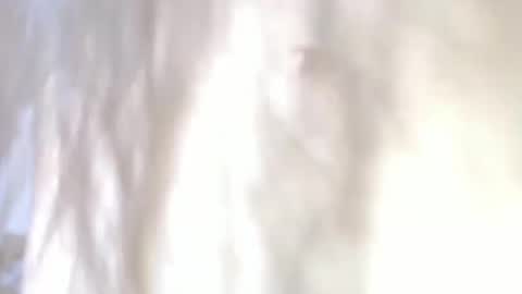 sweetdam12 online show from 12/30/24, 11:28