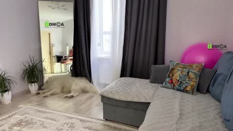 Vicktorious online show from 01/17/25, 12:42