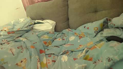 Stacy online show from 01/02/25, 02:13