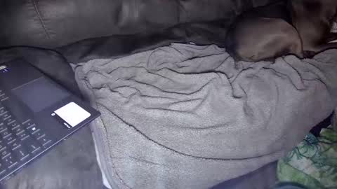 Snapshot of sweetgesus chatting on 01/05/25, 03:53 sweetgesus online show from 01/05/25, 03:53