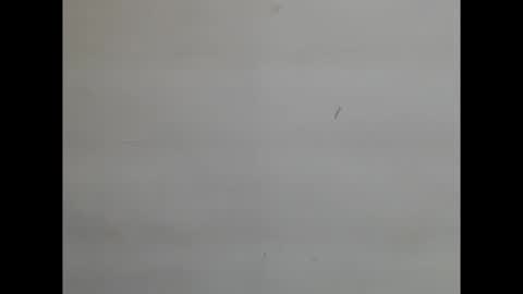 sweetnectarx online show from 11/08/25, 04:40