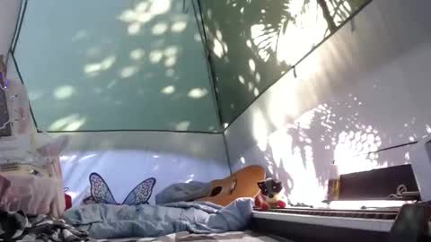 April online show from 11/21/25, 04:16