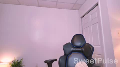 Snapshot of sweetpulse_ chatting on 12/23/24, 10:12 Rose online show from 12/23/24, 10:12
