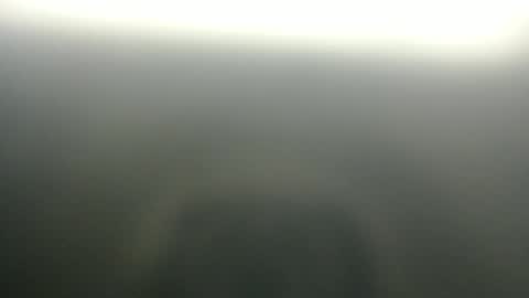 slim ivy online show from 04/03/26, 03:59