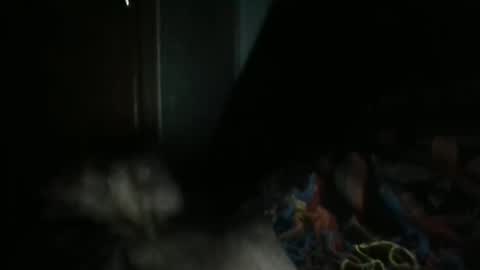 sweetpussylicks online show from 02/07/25, 07:29