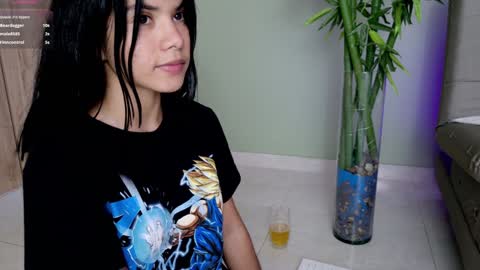    online show from 01/26/25, 11:08