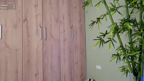    online show from 02/17/25, 04:26