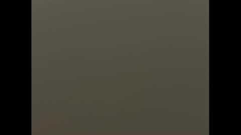 swimjock92262 online show from 03/09/25, 11:03