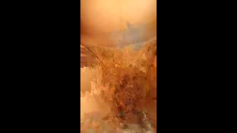 swiri123 online show from 02/28/26, 11:11